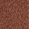 Lano Corindo . Wykładziny dywanowe . Kolor 301 mahogany